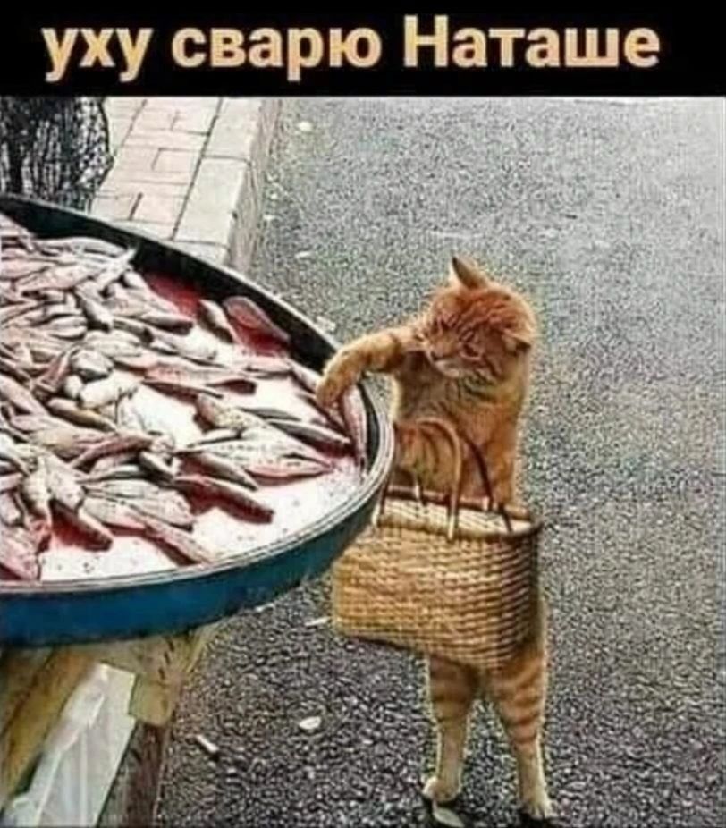 уху сварю Наташе