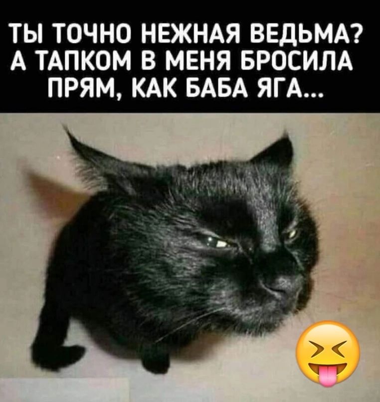 ТЫ ТОЧНО НЕЖНАЯ ВЕДЬМА А ТАПКОМ В МЕНЯ БРОСИЛА ПРЯМ КАК БАБА ЯГА