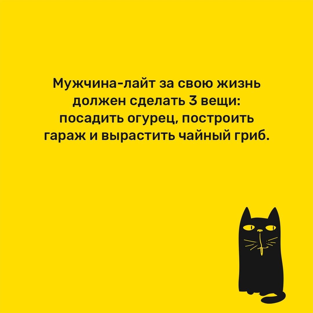 пишитпоют рп щита птн по инт