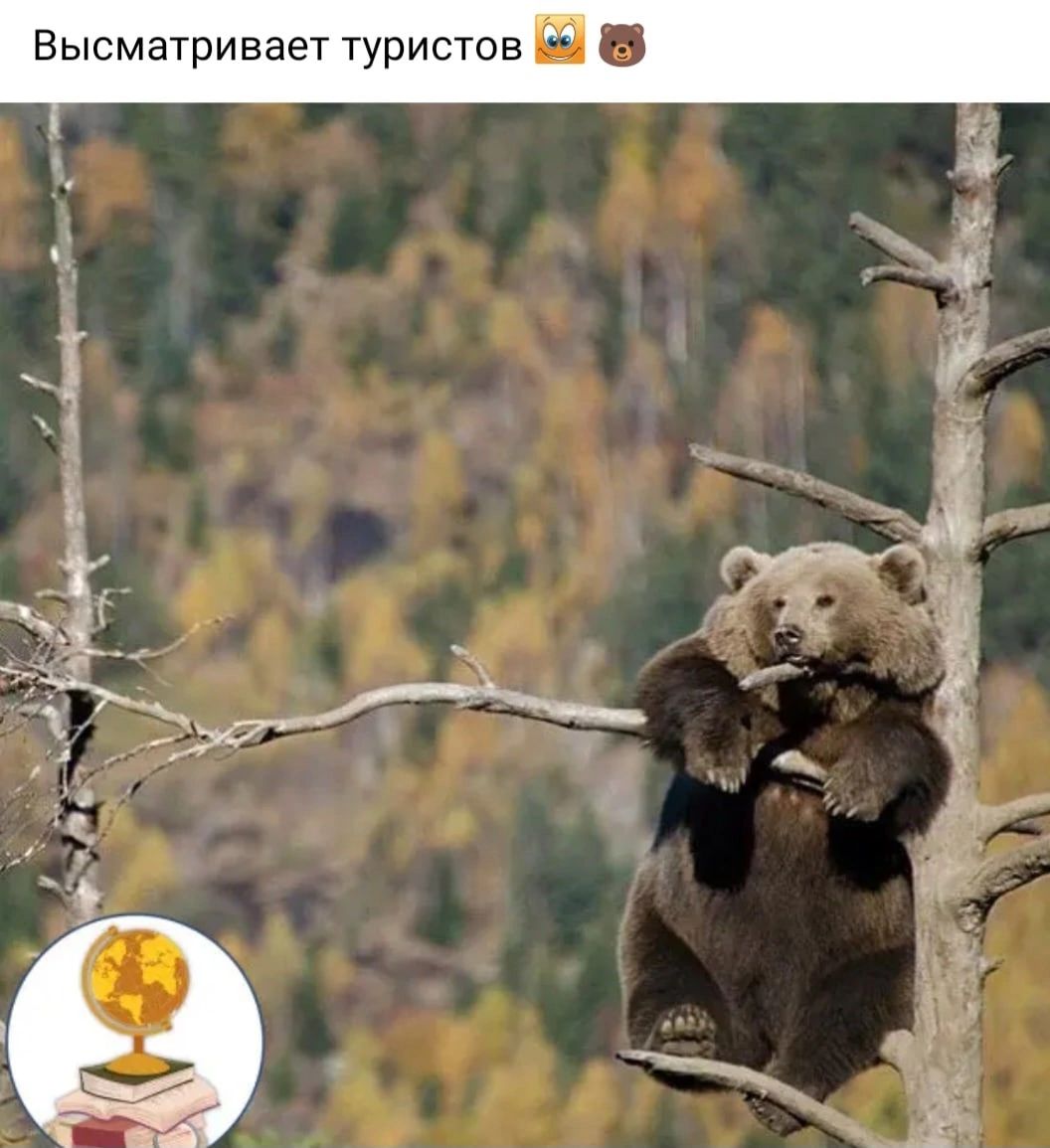 Высмвтривает туристов _