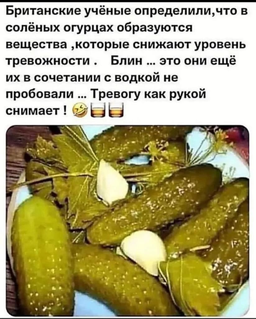 Британские учёные определиличто в солёных огурцах образуются вещества которые снижают уровень тревожности Блин это они ещ их в сочетании с водкой не пробовали Тревогу как рукой снимает 5