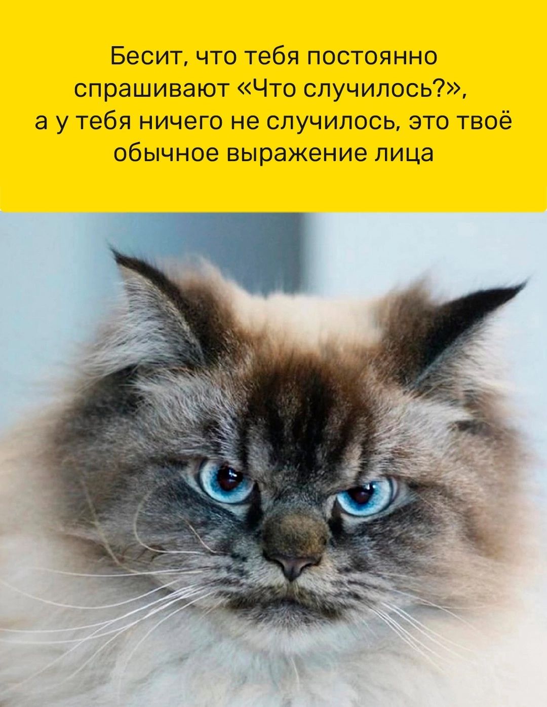 Бесит что тебя постоянно спрашивают Что случилось а у тебя НИЧЕГО не случилось ЭТО ТВОЁ обычное выражение лица