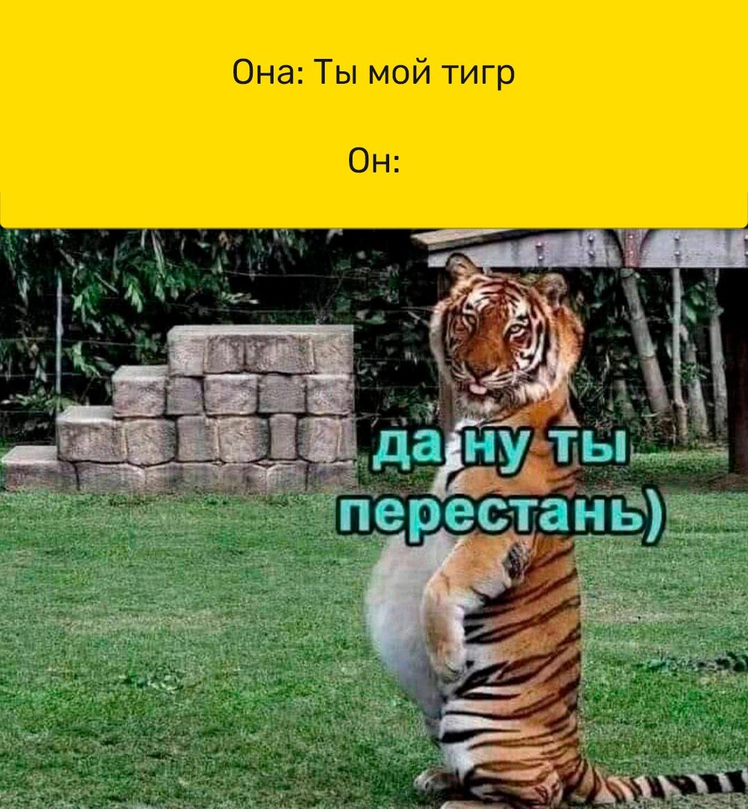 Она Ты мой тигр