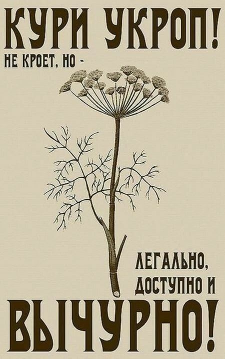 КЧРЦ ЧКРОП нв кгввт н _ АЕГААШО АОБТЧПНО И ВЫЧЧРНО