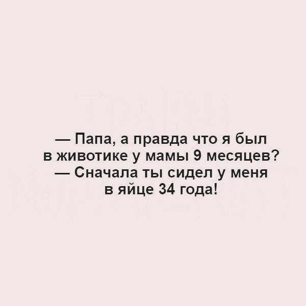 Папа а правда что я был в животике у мамы 9 месяцев Сначала ты сидел у меня в яйце 34 года