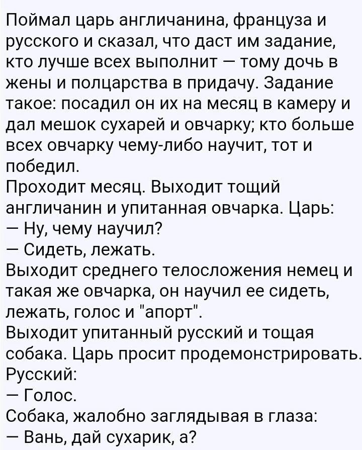 Поймал царь англичанина француза и русского и сказал что даст им задание кто лучше всех выполнит тому дочь в жены и полцарства в придачу Задание такое посадил он их на месяц в камеру и дал мешок сухарей и овчарку кто больше всех овчарку чему либо научит тот и победил Проходит месяц Выходит тощий англичанин и упитанная овчарка Царь Ну чему научил Сидеть лежать Выходит среднего телосложения немец и 