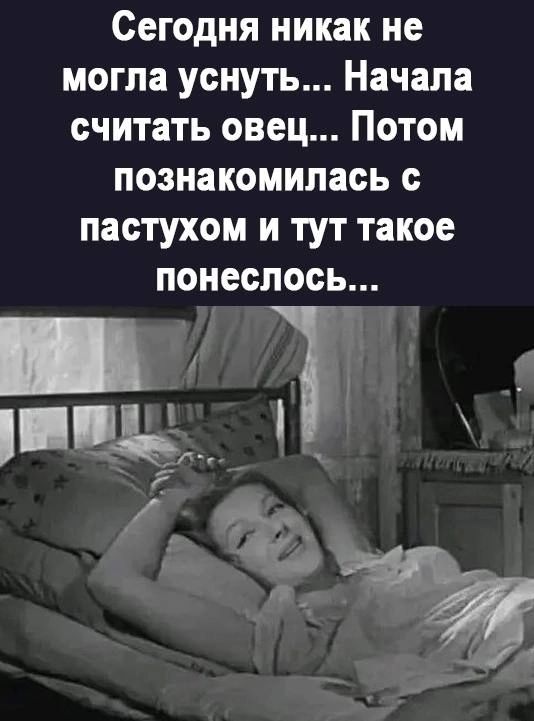Сегодня никак не могла уснуть Начала считать овец Потом познакомилась с пастухом и тут такое понеслось ь