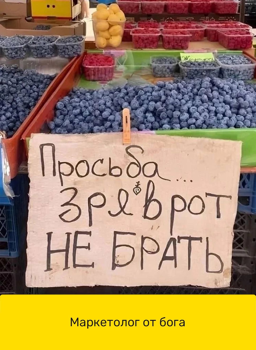 Маркетолог от бога