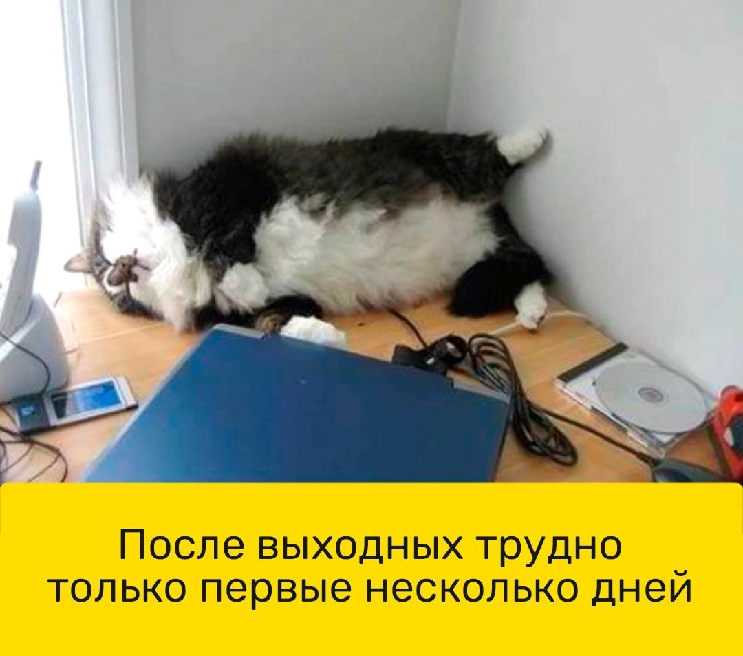 После выходных трудно только первые несколько дней