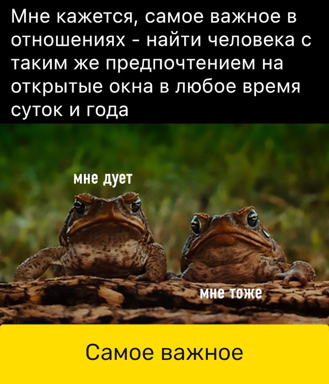 Мне кажется самое важное в отношениях найти человека с таким же предпочтением на открытые окна в любое время суток и года мие дует __ 1 Самое важное