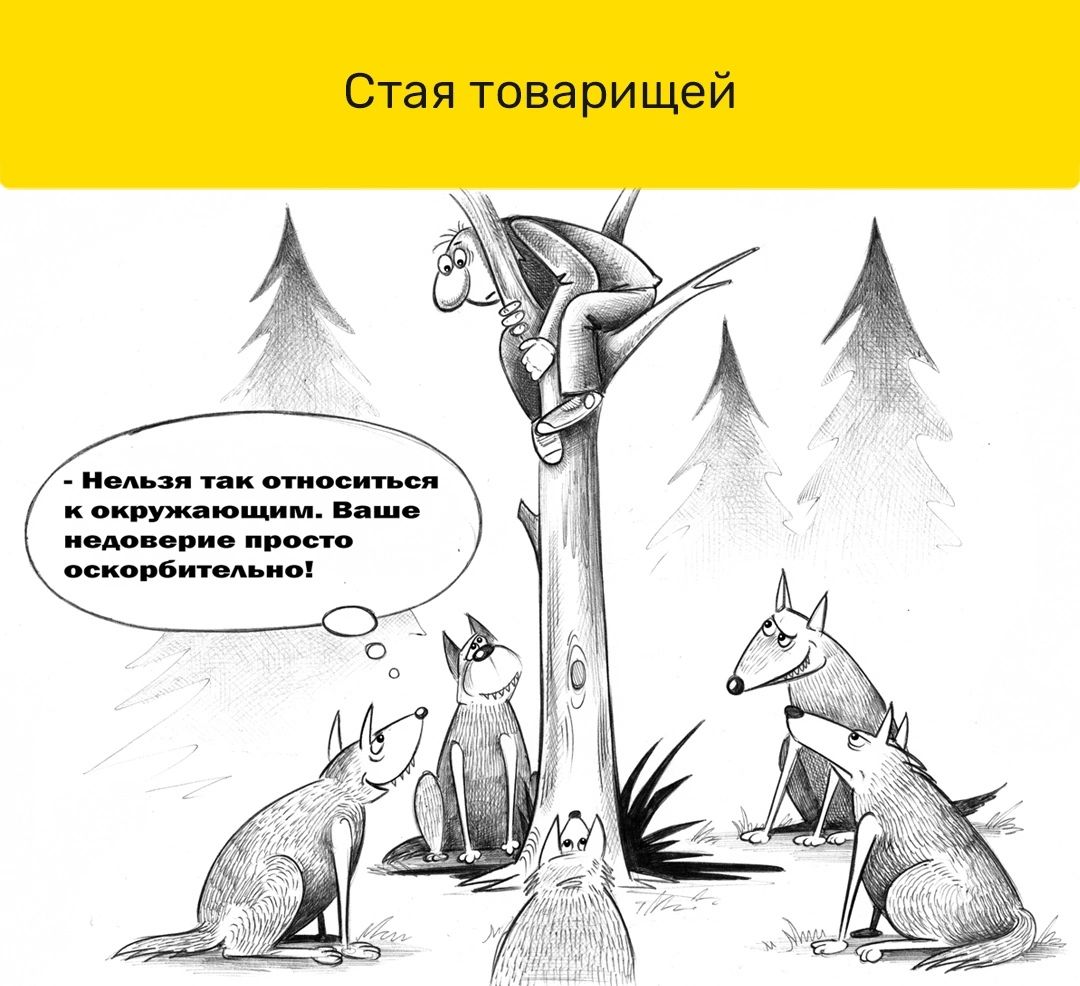 Стая товарищей