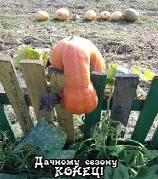 іі _ЧэХд я _ Ь и дьчкои КФЁЁЁЁЖ Ъ