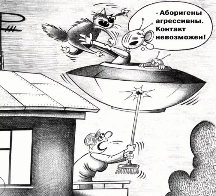 Анорпин птесси иы клин п поз шлют