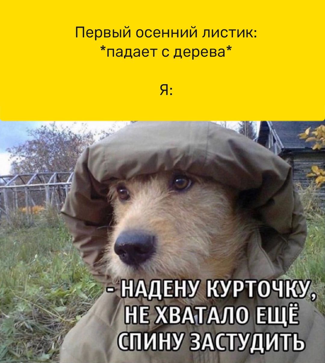 Первый осенний листик падает с дерева З НАДЕНУ курточку ЗНЕ хвдтдло ЕЩЁ тпину ЗАСТУДИТЬ
