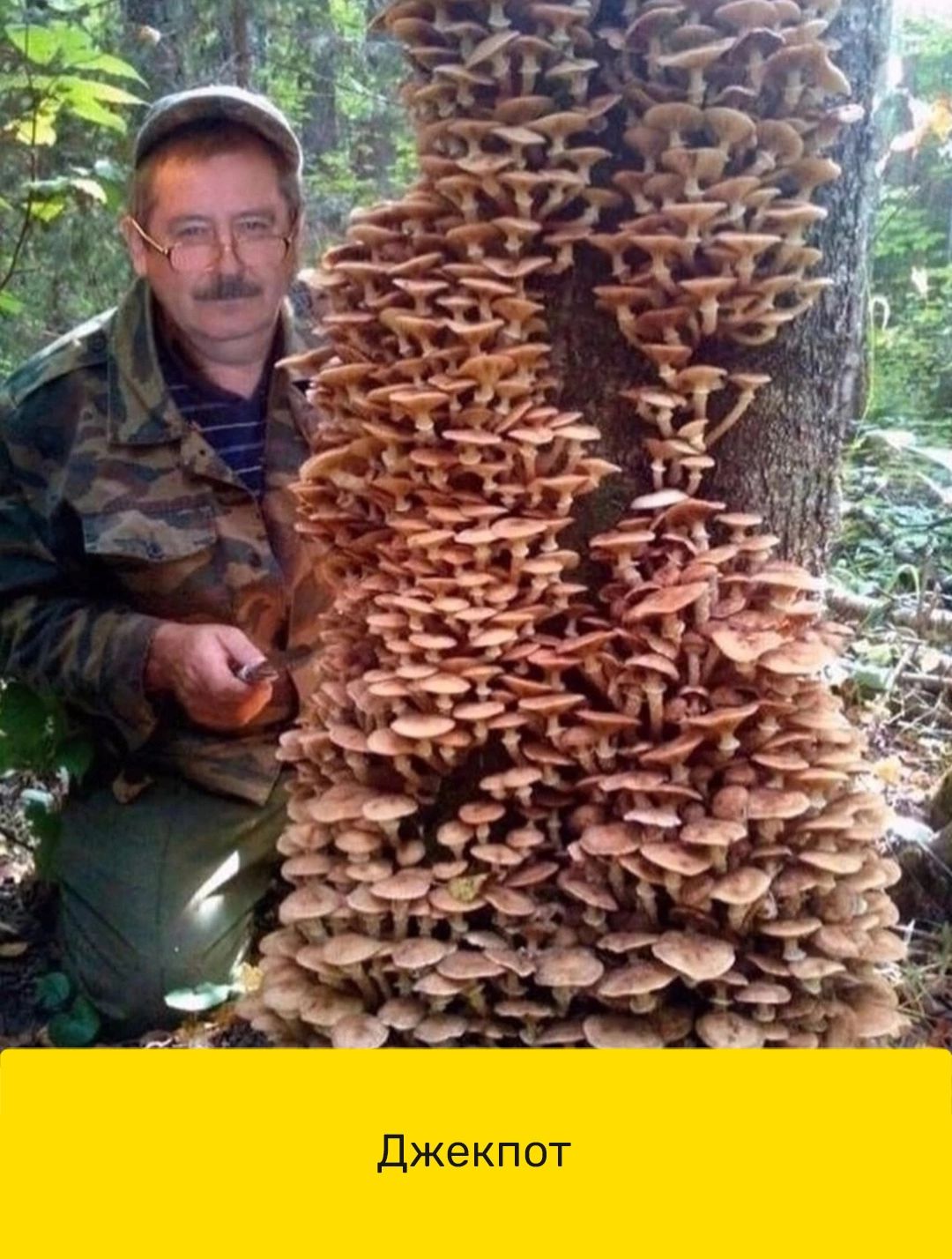 джекпот