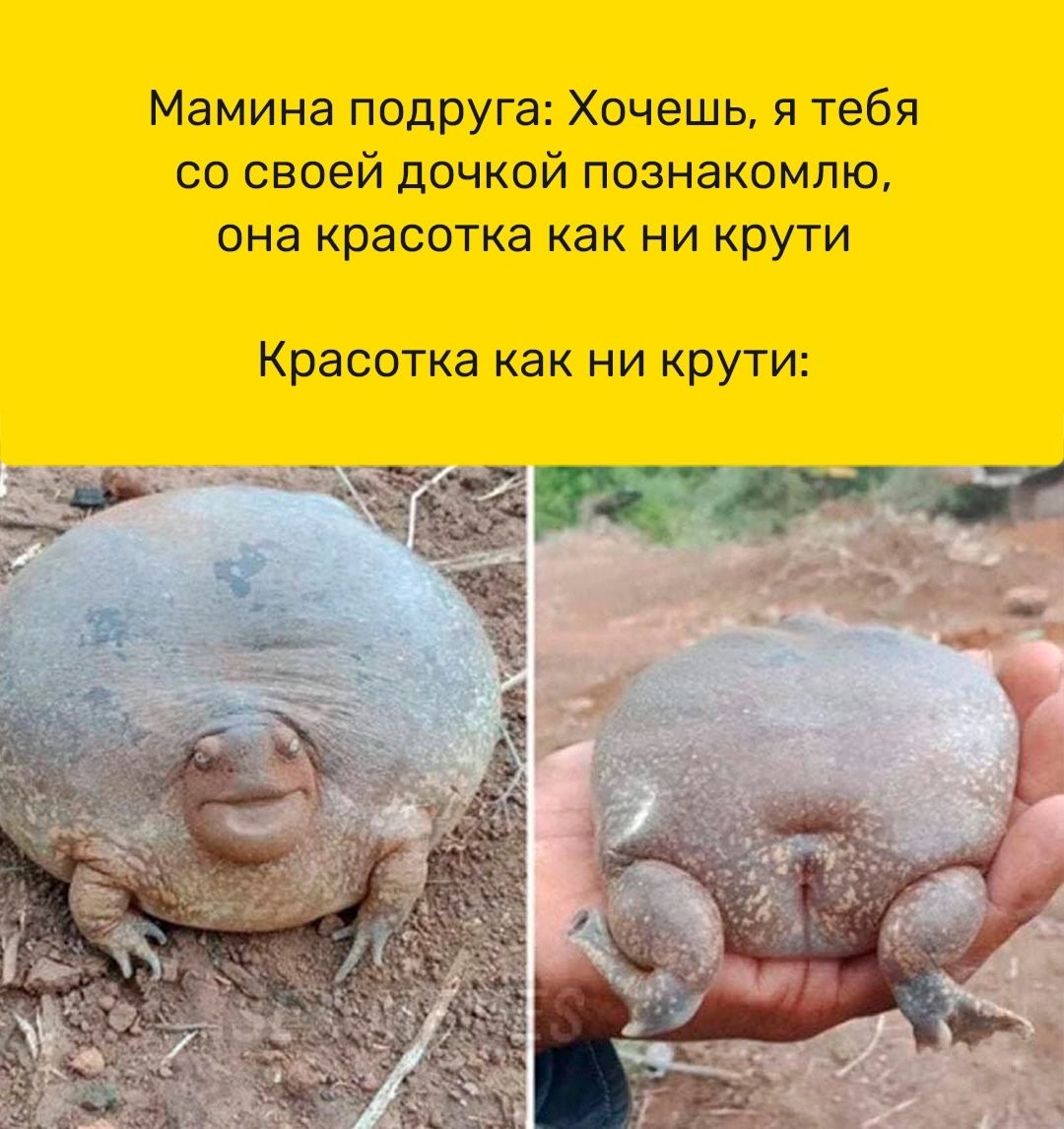 Мамина подруга Хочешь я тебя со своей дочкой познакомлю она КРЗСОТКЭ КаК НИ крути Красотка как ни крути