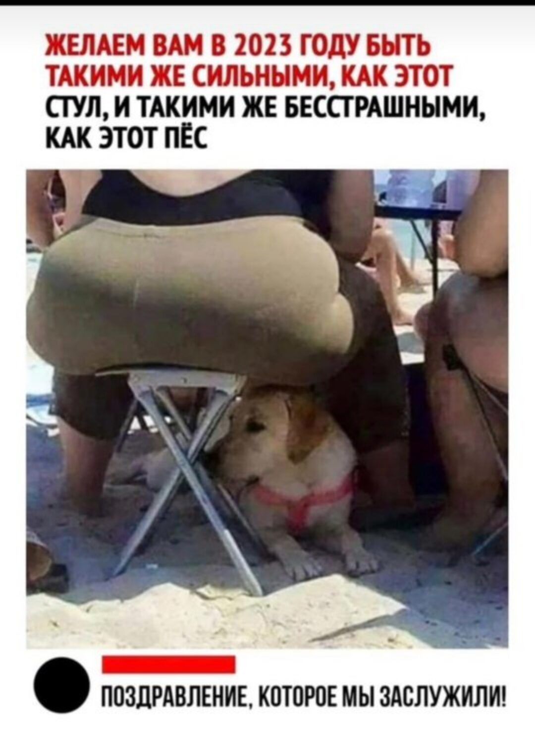 ШАЕМ БАМ 2013 ГОДУБНТЬ ТАКИМИ ХЕ СИЛШНМИ КАК ЭТОТ ПУ И ТАКИМИ ЖЕ БЕСПРАШНЫМИ КАК ЭТОТ ПЕС ППЗЦРАВЛЕНИЕ КПТПРПЕ МЫ ЗАЕПУЖИЛИ