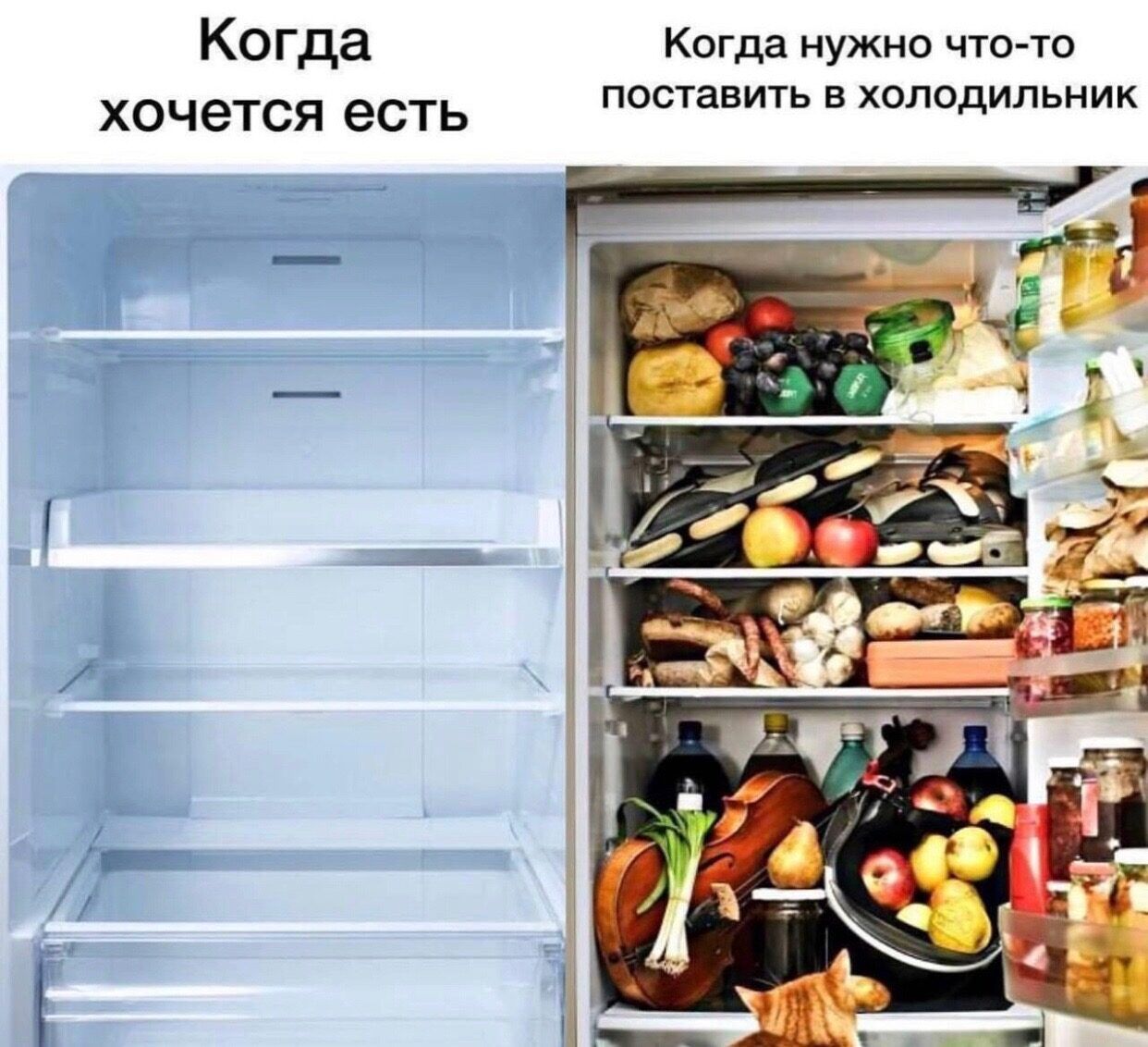 Когда Когда нужно что то хочется есть поставить в холодильник