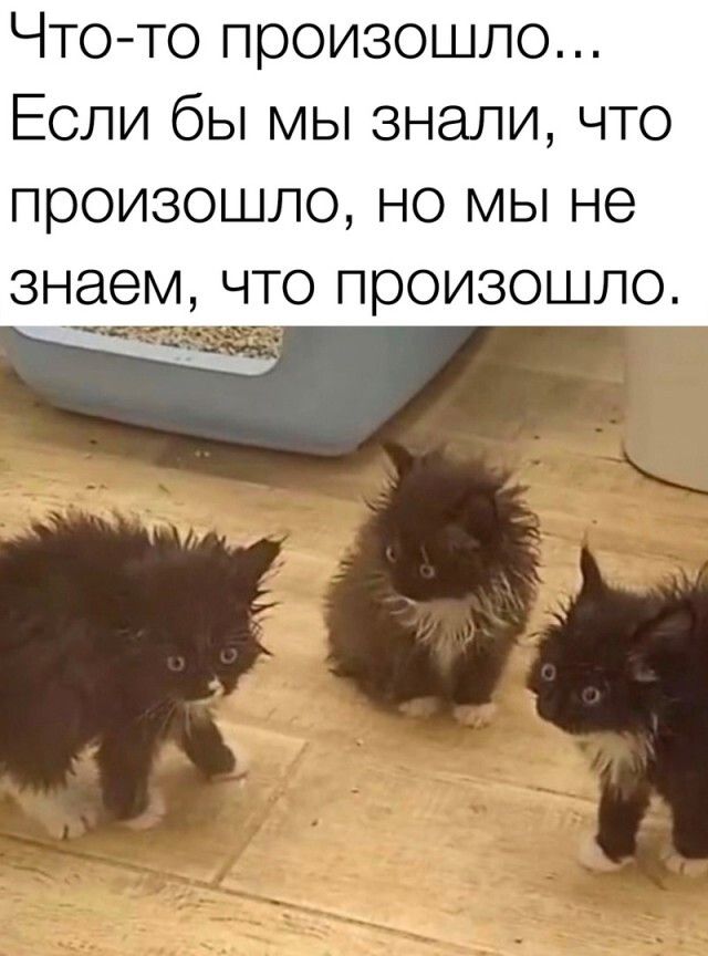 Чтото произошло Если бы мы знали что произошло НО МЫ не знаем ЧТО ПООИЗОШЛО