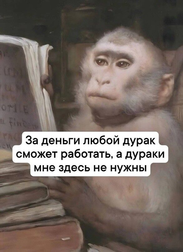 За деньги любой дурак сможет работать а дураки