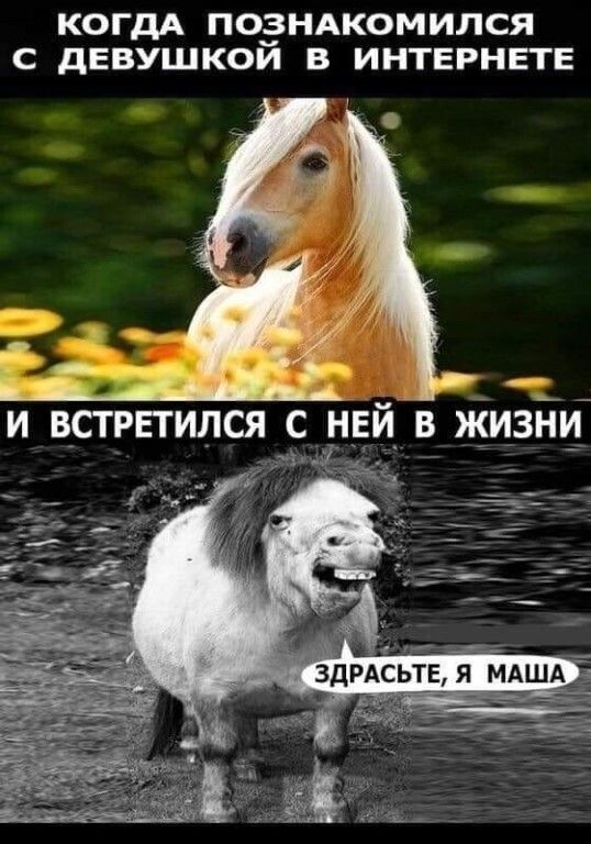 КОГДА ПОЭНАКОМИЛСЯ С дЕВУЩКОИ В ИНТЕРНЕТЕ