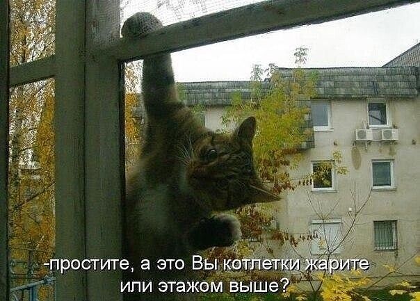 простите а это Вы 731 ипи этажом выше