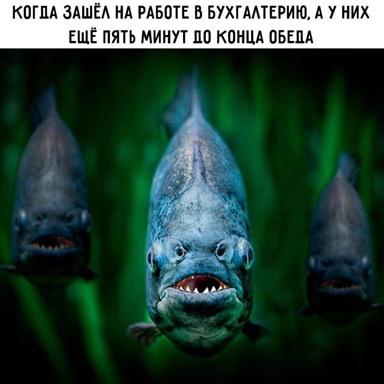 КОГДА ЗАШЕА НА РАБО БУХГААТЕРИЮ А У НИХ ЕЩЁ ПЯТЬ МИНУТ ПО КОНЦА ОБЕЦА