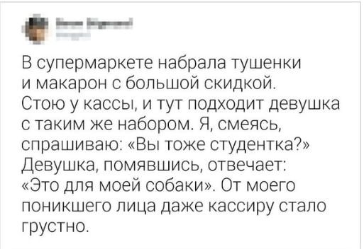 В супермаркете набрала тушенки и макарон с большой скидкой Стою у кассы и тут подходит девушка с таким же набором Я смеясь спрашиваю Вы тоже студентка Девушка помявшись отвечает Это для моей собаки От моего поникшего лица даже кассиру стало грустно