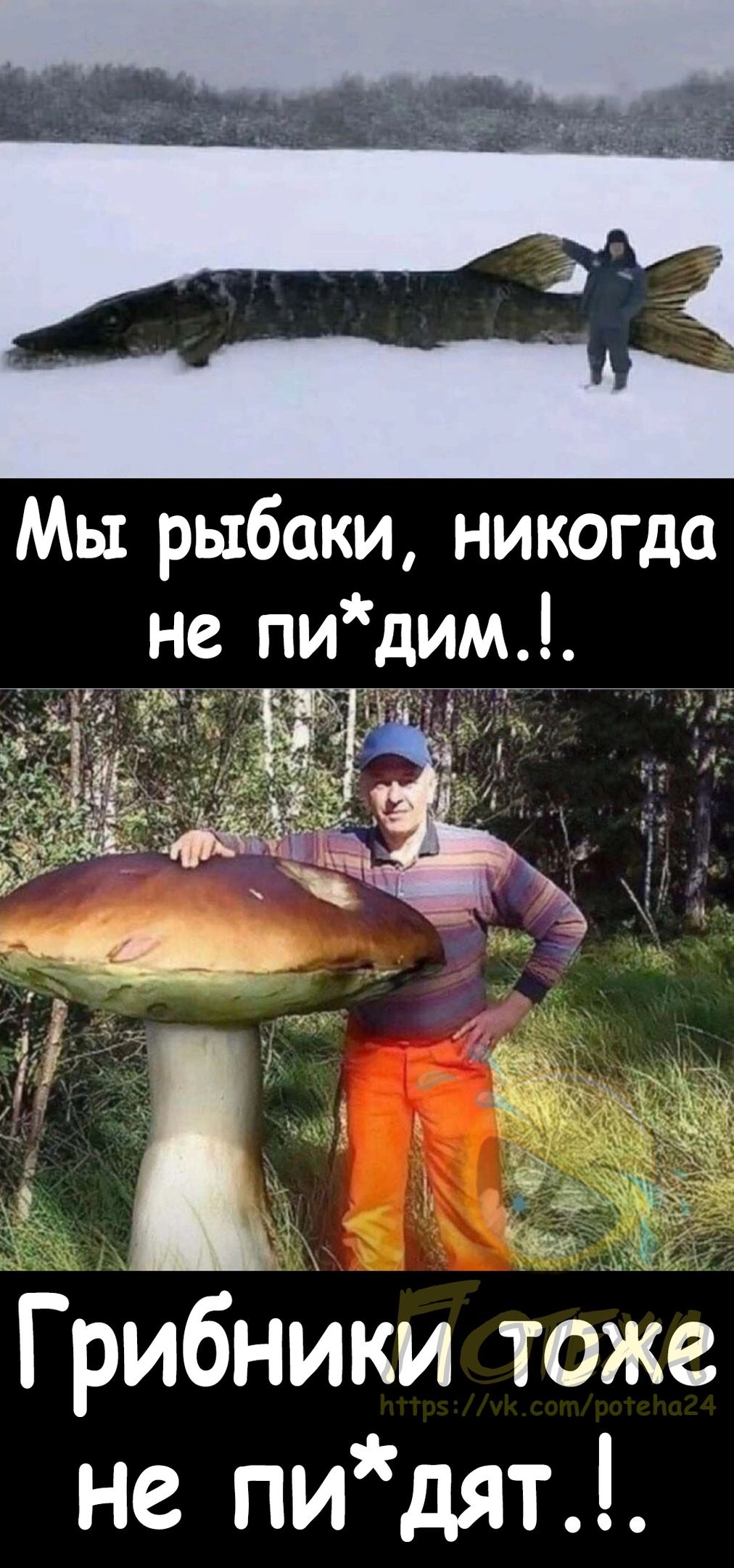 Мы рыбаки никогда не пидим п ЁЁ Г ибники тоже не пидят