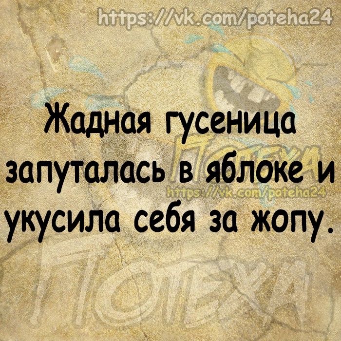 Жадная гусеница запуталась в ЯбЁ9И укусила себя за жопу