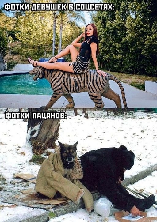 а ФПТК дЕ НЭЕК ЕПЦСЕТЯХ