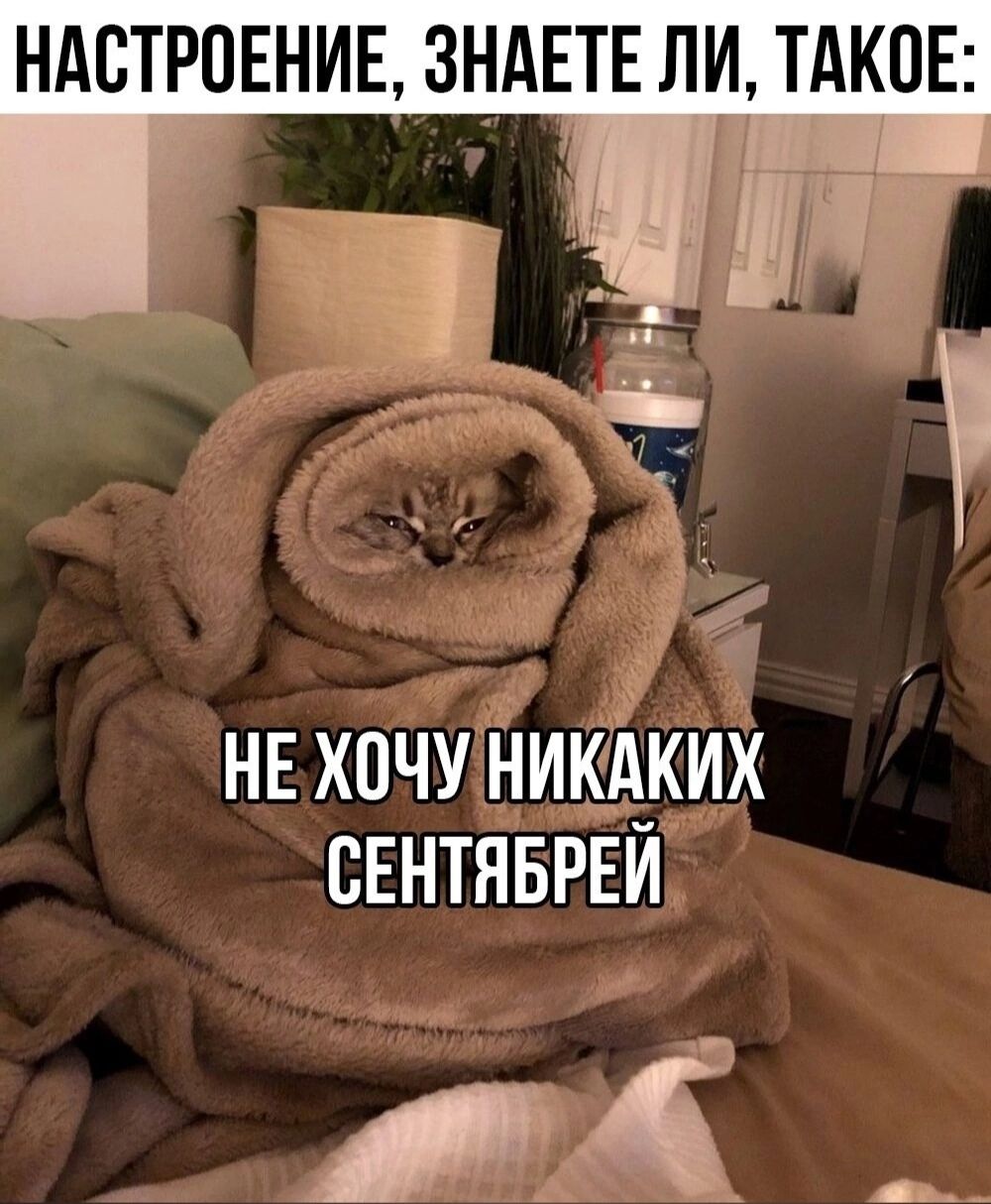 НАСТРОЕНИЕ ЗНАЕТЕ ЛИ ТАКОЕ ЕЩЁ НЕ ХОЧУ НИКАКИХ СЕНТЯБРЕИ