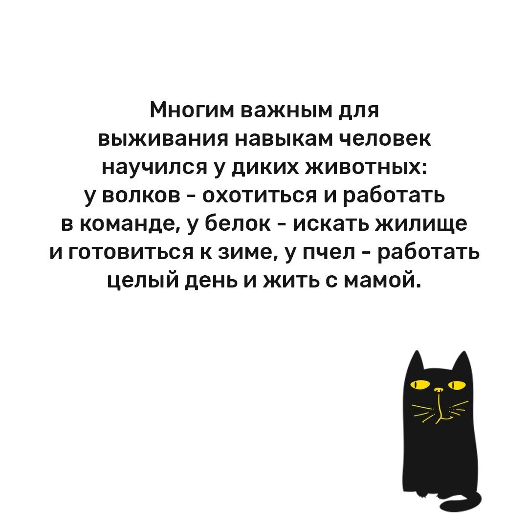 Многим важным для выживания навыкам ЧЕЛОВЕК научился У дИКИХ ЖИВОТНЫХ у волков охотиться и работать в команде у белок искать жилище и готовиться к зиме у пчел работать целый день и жить с мамой