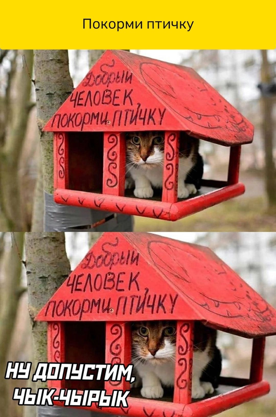 Покорми птичку