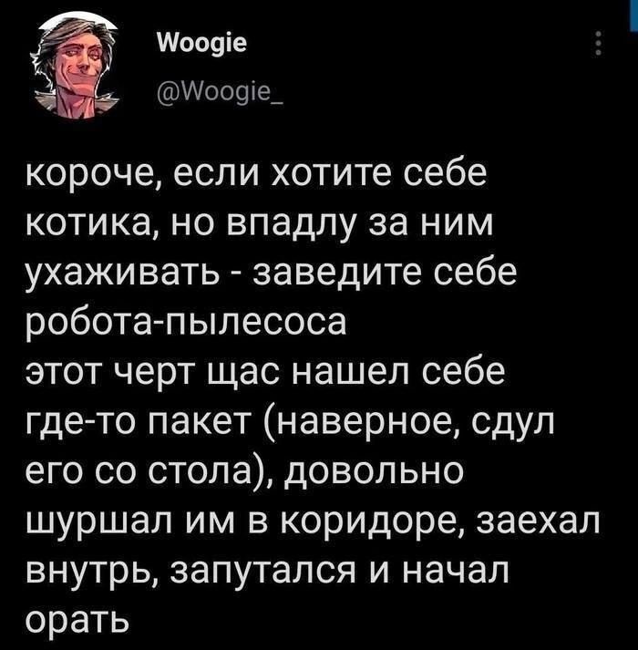 Мооуіе 00919_ короче если хотите себе котика но впадлу за ним ухаживать заведите себе робота пылесоса этот черт щас нашел себе где то пакет наверное сдул его со стола довольно шуршал им в коридоре заехал внутрь запутался и начал орать