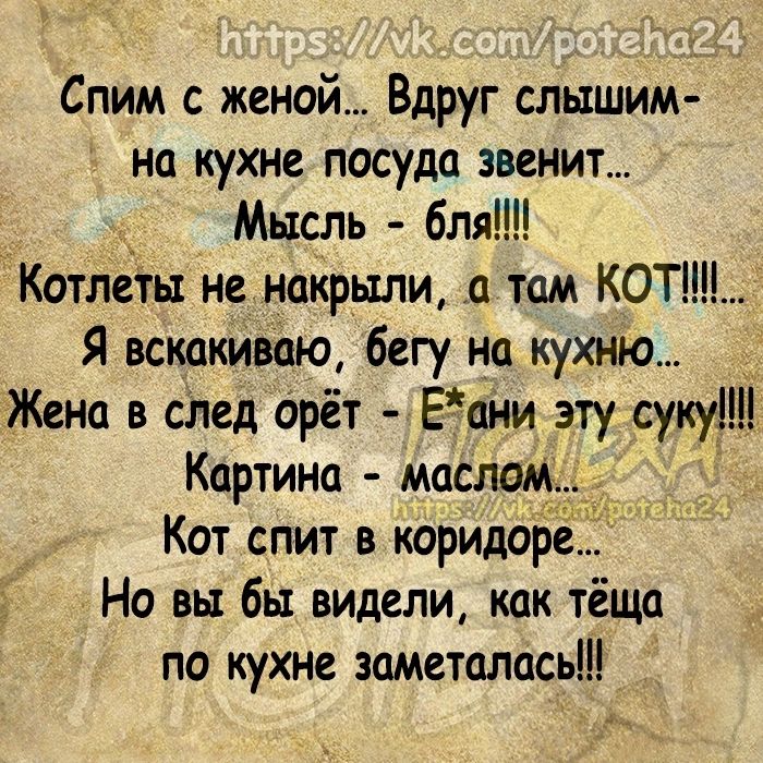 Спим с женой Вдруг слышим на кухне посуда звенит Мысль бля Котлеты не накрыли там КОТ Я вскекиваю бегу на кухню _ Жена в след врёт Еани эту суку Кортина маслам Кот спит в коридоре Но вы бы видели как тёща по кухне заметепась