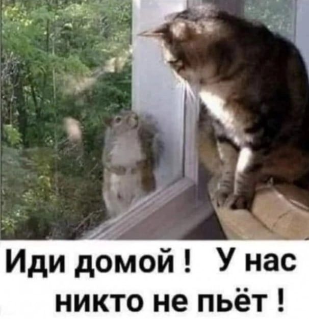 Иди домой У нас никто не пьёт