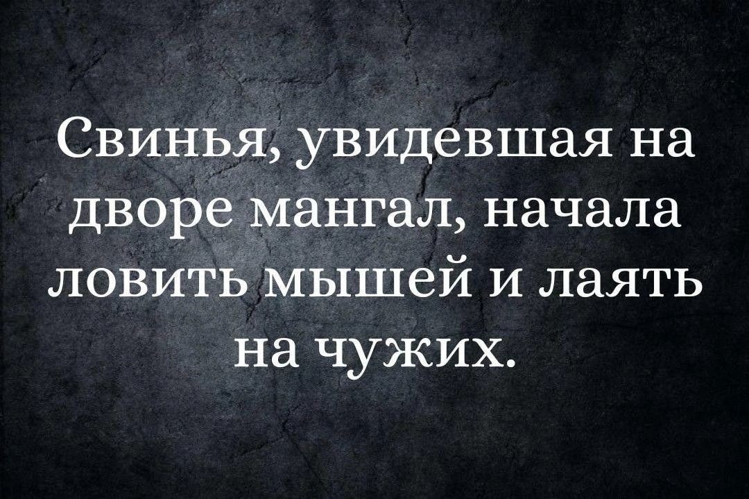 Свинья увидевшая на дворе мангал начала ловить мышей и лаять на чужих