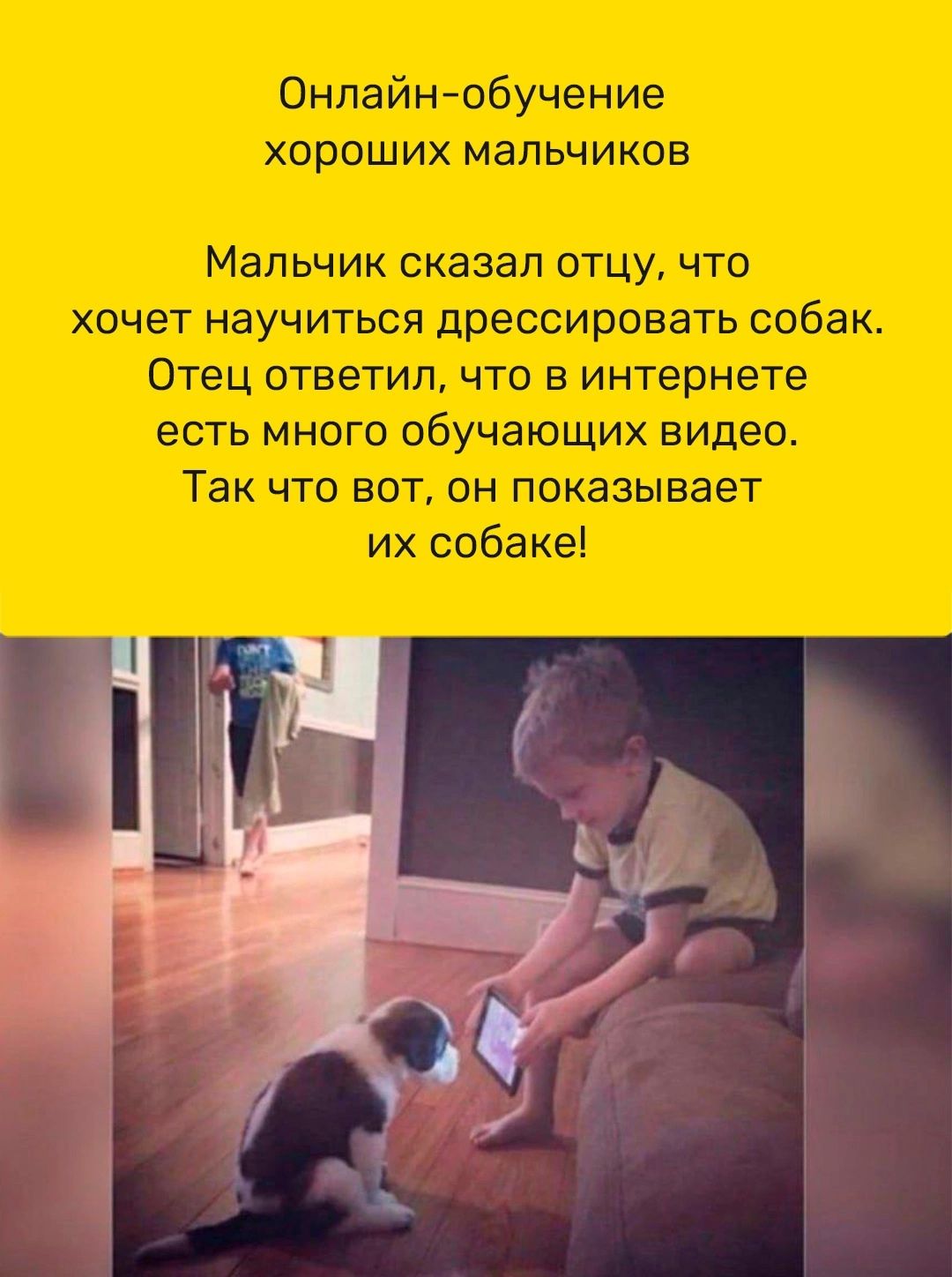 Онлайнобучение хороших мальчиков Мальчик сказал отцу что хочет научиться дрессировать собак Отец ответил что в интернете есть много обучающих видео Так что вот он показывает их собаке