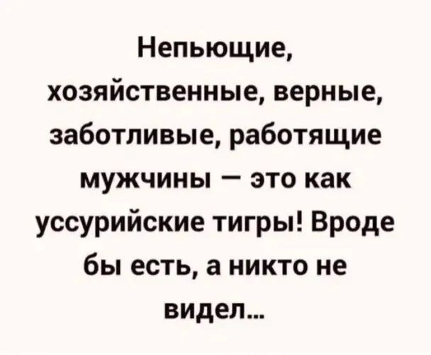 Непьющие хозяйственные верные заботливые работящие мужчины это как уссурийские тигры Вроде бы есть а никто не видел