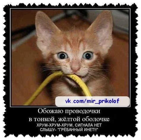 Обожаю приви 101 топкой жёлтой обшючке хРум хРУмхРум сигнАлд нп слышуг гРевднныи инь тп