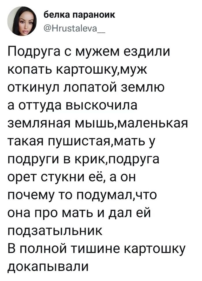 белка параноик Нгиэаеуа_ Подруга с мужем ездили копать картошкумуж откинул лопатой землю а оттуда выскочила земляная мышьмаленыая такая пушистаямать у подруги в крикподруга орет стукни её а он почему то подумалчто она про мать и дал ей подзатыльник В полной тишине картошку докапывали