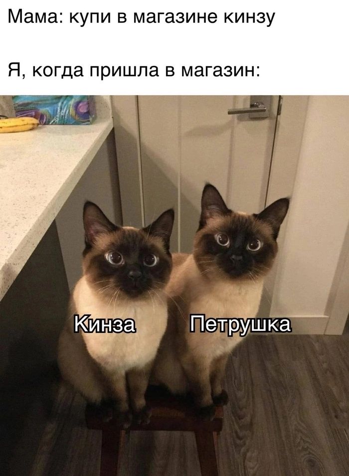 Мама КУПИ В магазине КИНЗУ Я когда пришла В магазин Петруішка