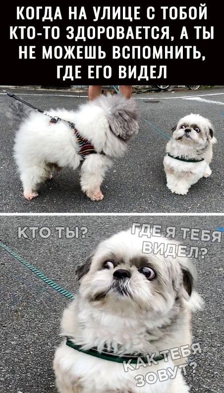 КОГДА НА УЛИЦЕ О ТОБОЙ КТО ТО ЗДОРОВАЕТСЯ А ТЫ НЕ МОЖЕШЬ ВОПОМНИТЬ ГДЕ ЕГО ВИДЕЛ щ
