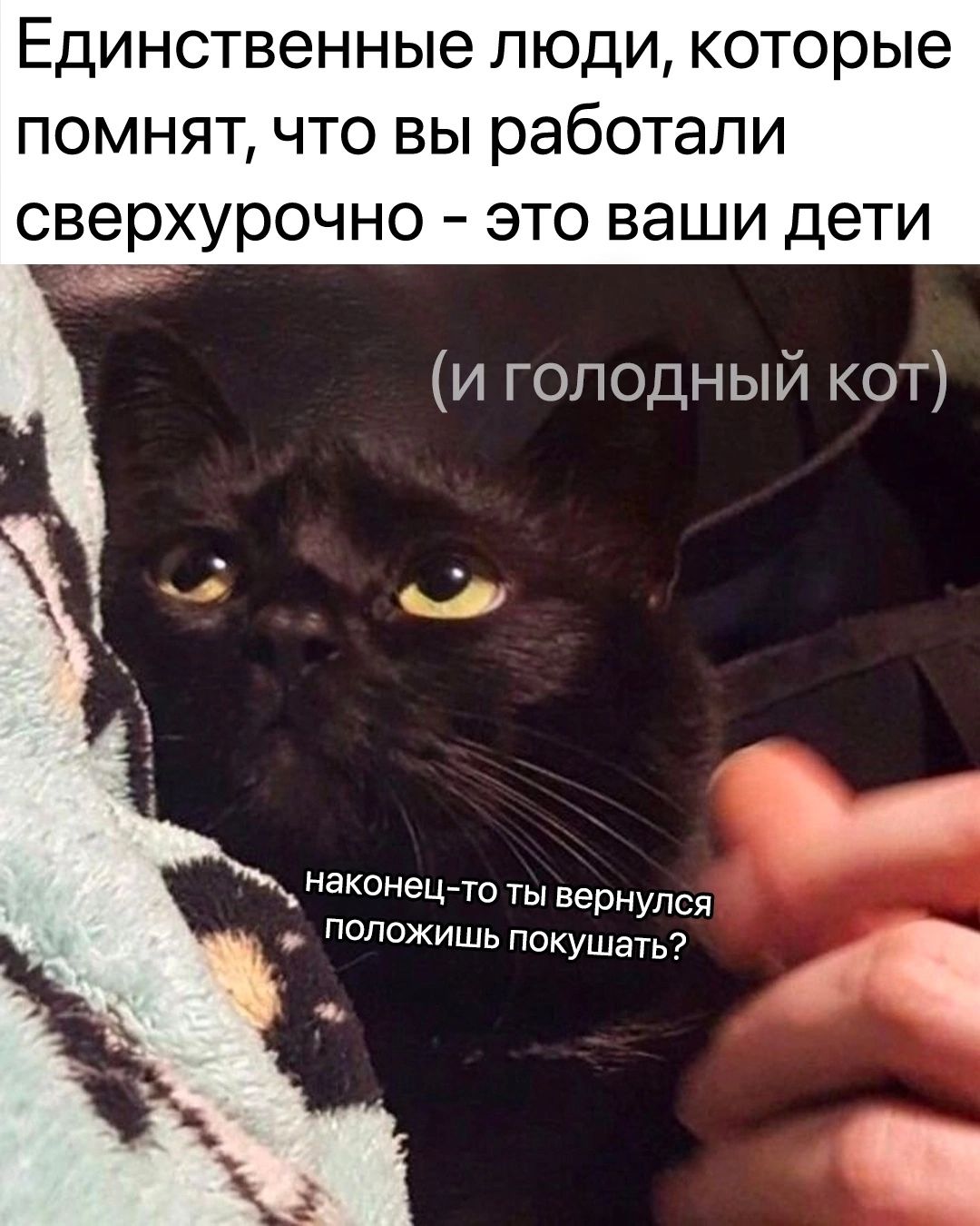 Единственные людикоторые ПОМНЯТ ЧТО ВЫ работали сверхурочно ЭТО ваши дети и голодный кот наконецйто ты вернулся положишь
