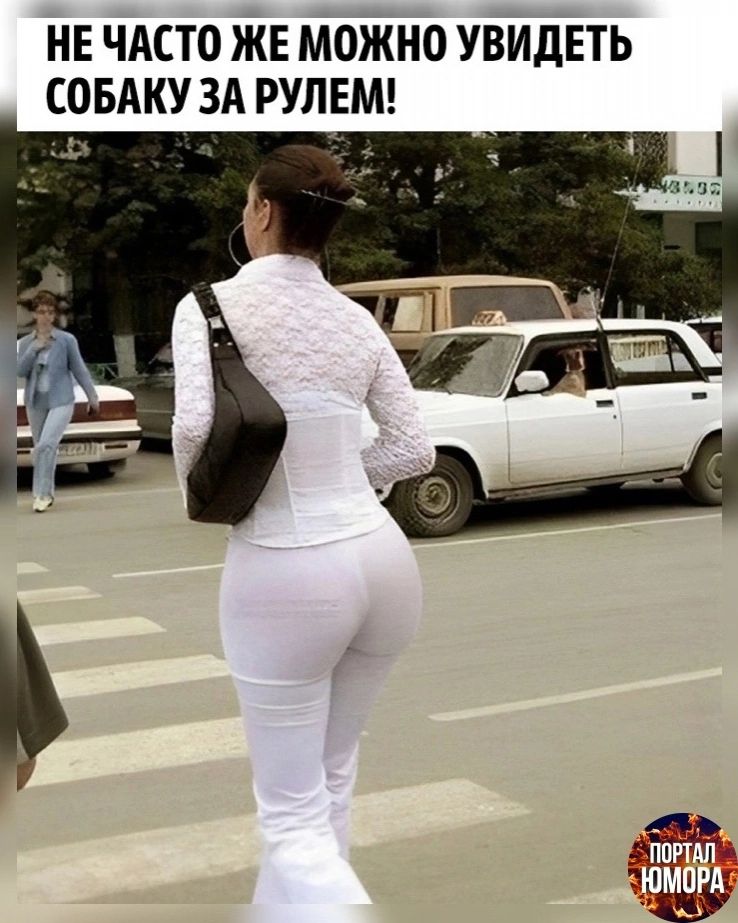 НЕ ЧАСТО ЖЕ МОЖНО УВИДЕТЬ СОБАКУ ЗА РУЛЕМ