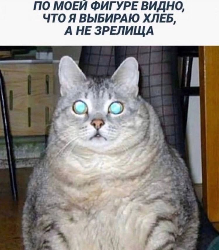 ПО МОЕЙ ФИГУРЕ ВИДНО ЧТО Я ВЫБИРАЮ ХЛЕБ А НЕ ЗРЕЛИЩА