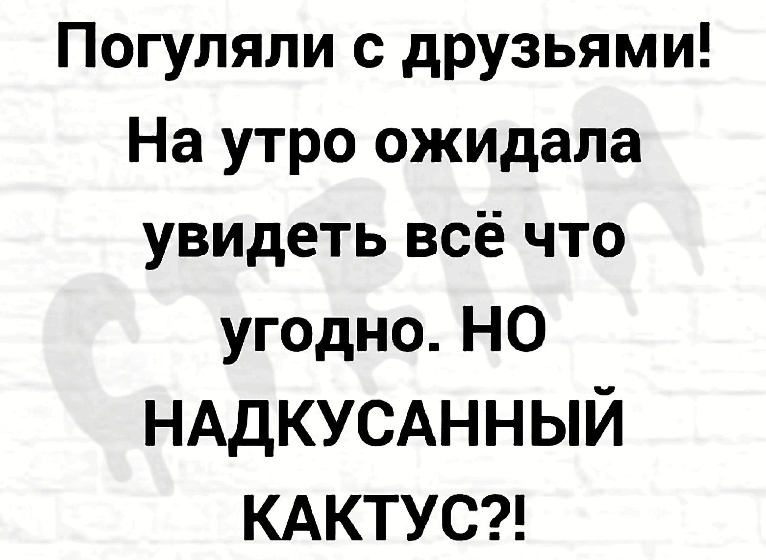 Погуляли с друзьями На утро ожидала увидеть всё что угодно НО НАДКУСАННЫЙ КАКТУС