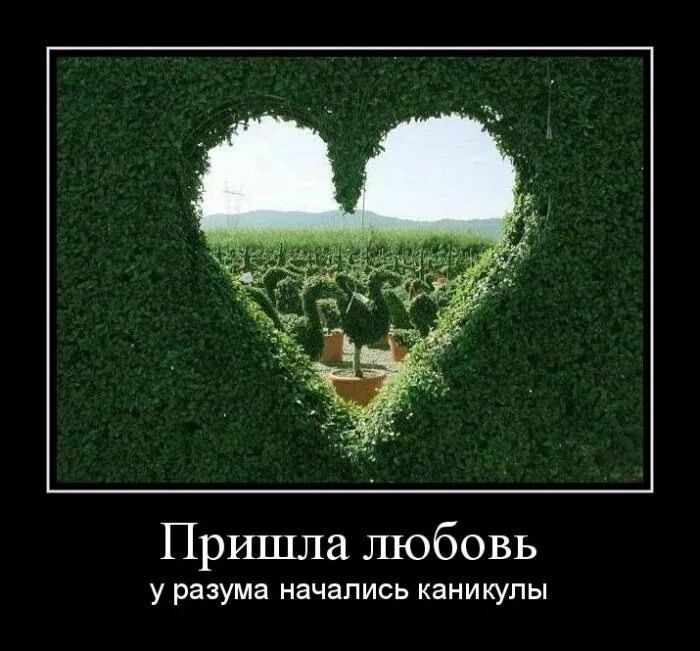 Пришла любовь у разума начались каникулы