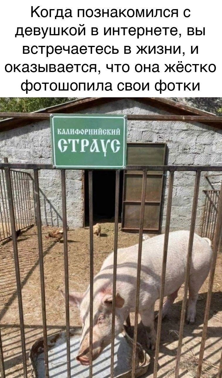 Когда познакомился с девушкой в интернете вы встречаетесь в жизни и оказывается что она жёстко фотошопила свои фотки